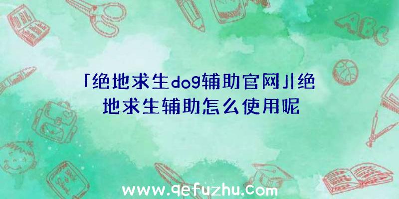 「绝地求生dog辅助官网」|绝地求生辅助怎么使用呢